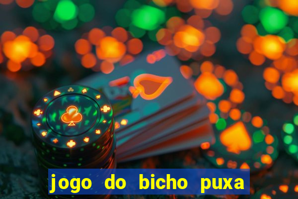 jogo do bicho puxa de dona maria